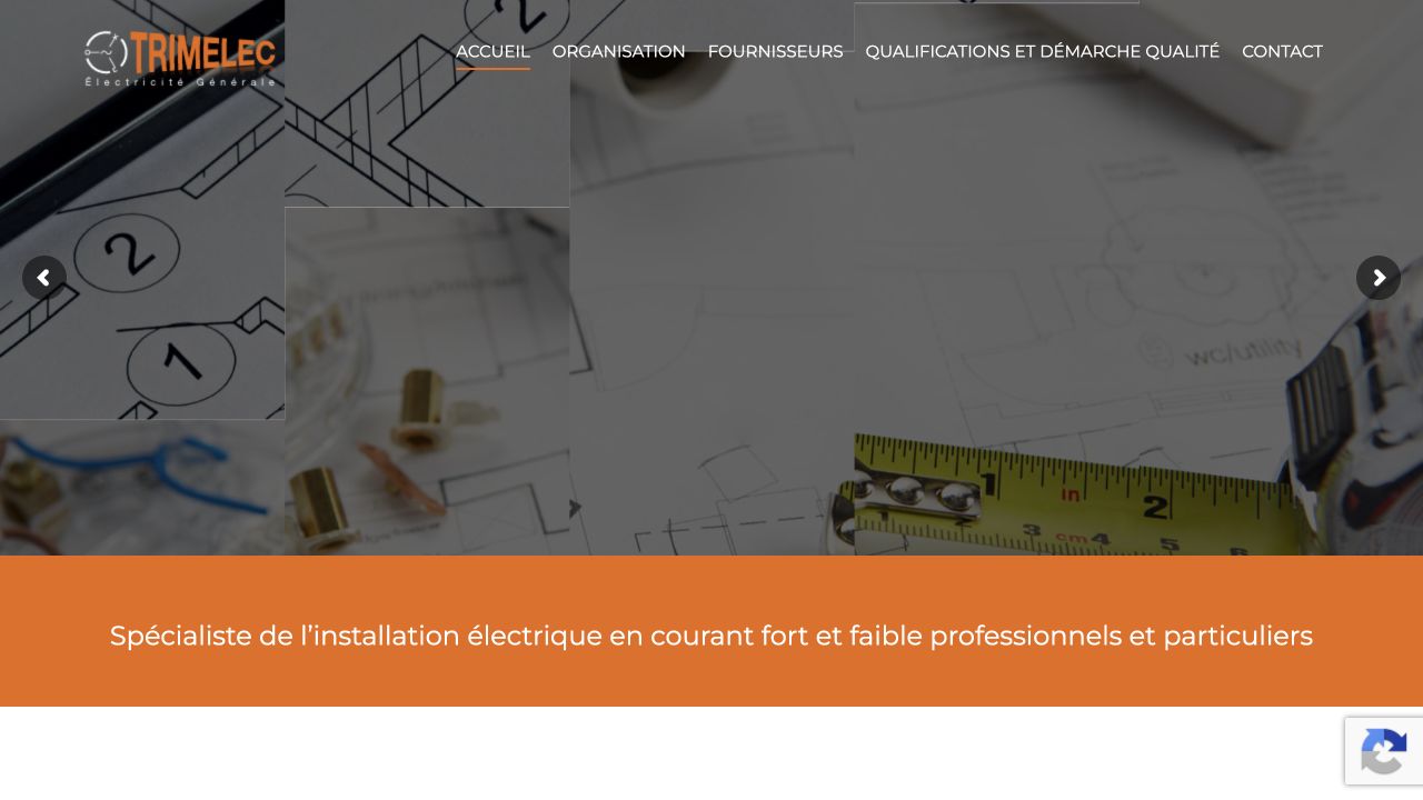 Capture du site de TRI.M.ELEC