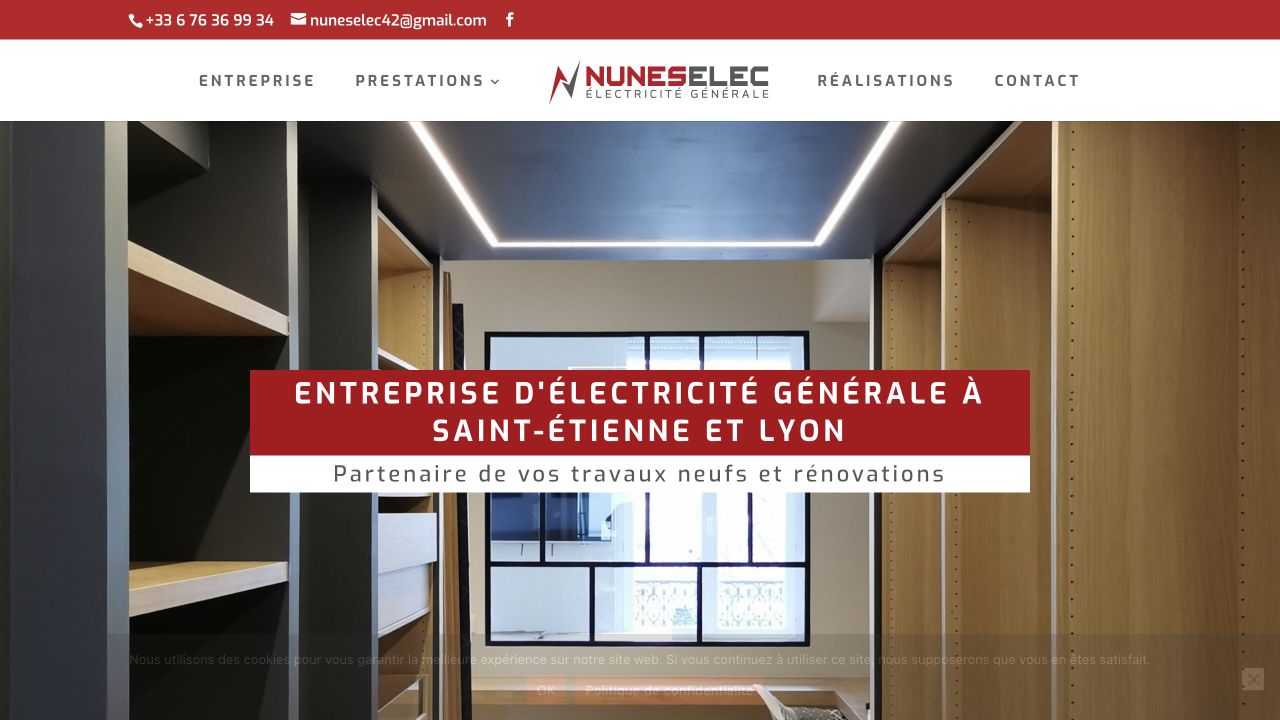 Capture du site de Nunes Elec